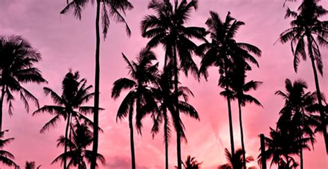 This pairing can work well for casual friendships or relationships, but these compatibility. Cancer and Sagittarius Love Compatibility