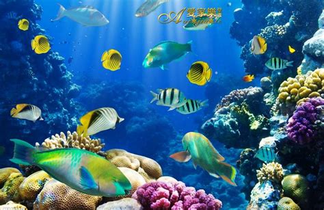 3d Stereoscopic Large Mural Ocean Underwater World