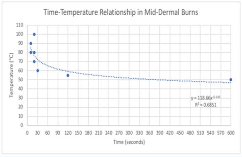 Predictor Of The Depth Of Burn Injuries A Time And Temperature