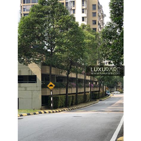 It is 3.7 miles from sepang, each room features executive. CYBERIA SMARTHOMES @ CYBERJAYA : LUXURARE