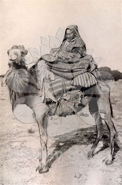 Susan Meller | Nomadic People in 2020 | Desert animals ...