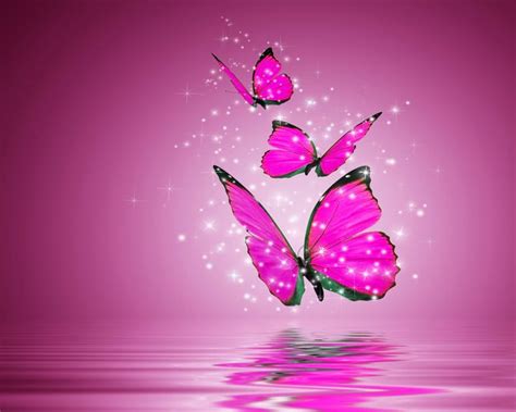 Love Butterflies Peacefulbeautiful Chainimage