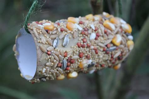 Recycled Bird Feeders Everywhere