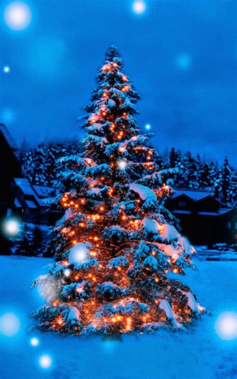 Christmas Tree Lights Decoration Snow Covered Free 4k