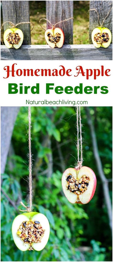 How To Make Apple Birdseed Homemade Bird Feeders Kids Activity For