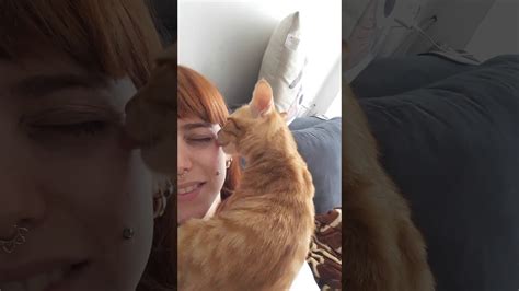 Cat Licking Beautifull Girl Face Youtube