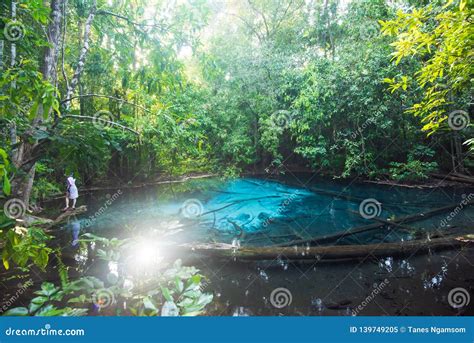 Ancient Turquoise Pond In Tropical Forest Sunbeam Shines Through The