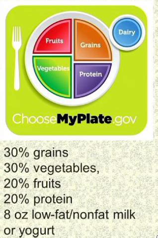 Myplate Vs Harvard S Healthy Eating Plate Flashcards Quizlet