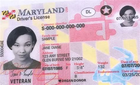 Licencia De Conducir En Maryland