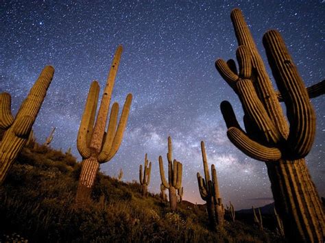 Night Sky Photo Tips National Geographic Night Photography