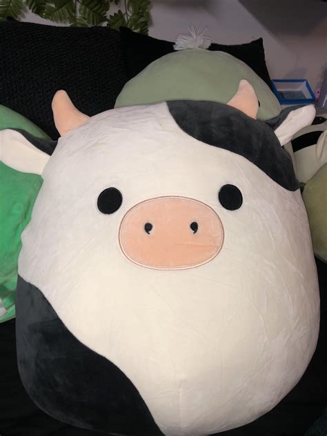 Best U Squishmallowsyeg Images On Pholder Squishmallow Bs