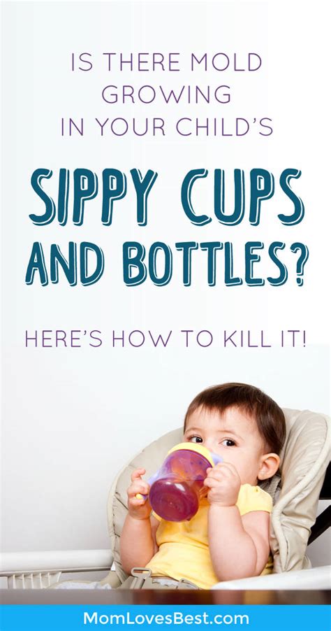 Keep Sippy Cups Mold Free With These Cleaning Tips Mom Loves Best