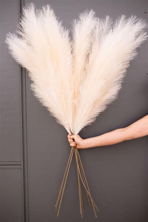 Fake grass decor unless thoroughly inspected, it is very hard to tell the difference between real grass and fake grass. Pampas Grass 3 stems Faux Artificial By Luxe B | Etsy ...