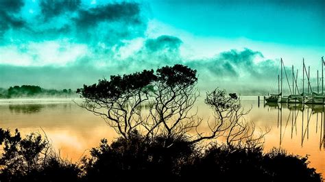 1360x768px Free Download Hd Wallpaper Silhouette Photo Of Trees