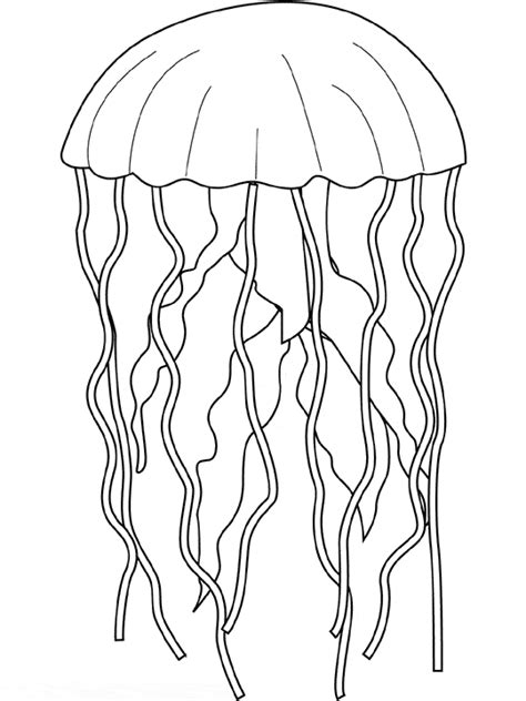Https://techalive.net/coloring Page/adult Coloring Pages Jellyfish