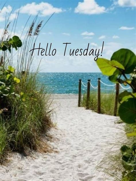 Good Morning Happy Tuesday Beach Images Looking For The Best Good