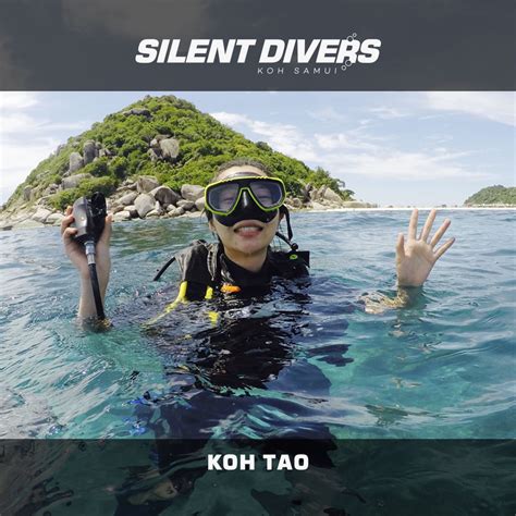Diving Trip To Koh Tao From Koh Samui Thailand Silent Divers