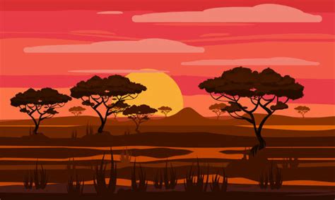 African Safari Background With Red Sunset And Tree Silhouette Illustrations Royalty Free Vector