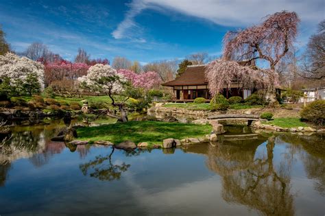 The 2019 Cherry Blossom Festivals Opening Weekend In 11 Bright Photos