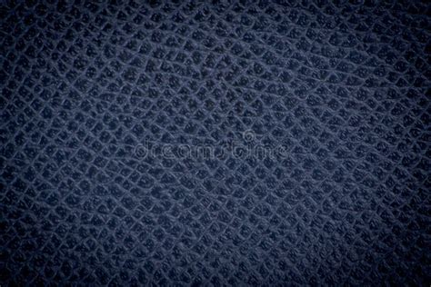 Deep Blue Skin Texture Stock Photo Image Of Animal Material 34740400