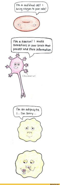 a little immunology humor science jokes pinterest humor science jokes and funny quotes