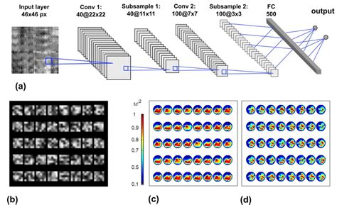 Understanding Convolutional Neural Networks Through Visualizations In