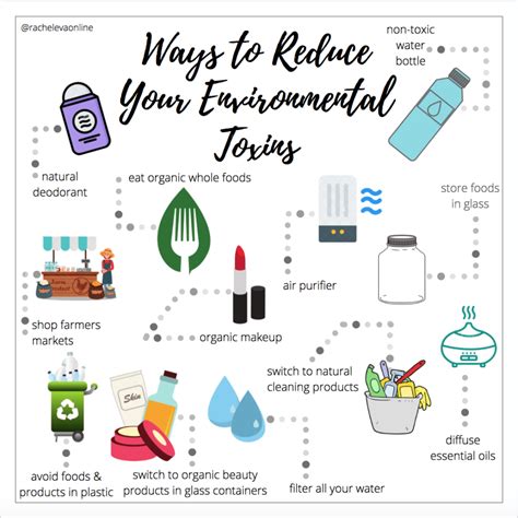 Ways To Reduce Your Environmental Toxins Dr Rachel