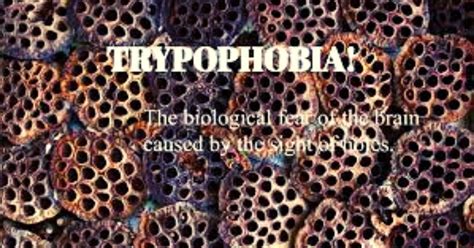 What Is Trypophobia Symptoms Causes Treatment Hacking Life Affairs