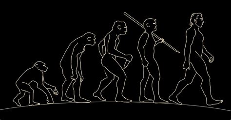 Todo Sobre Evolución Humana El Origen Del Hombre Sus Etapas Y