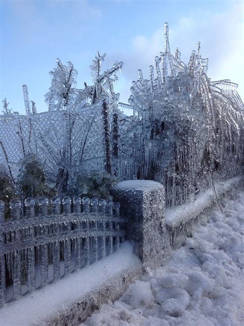 Free Images Snow Cold Winter Fence White Frost Ice Weather