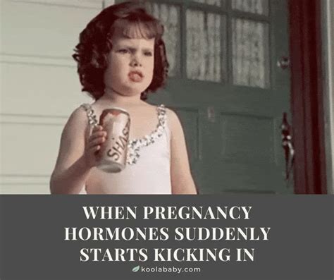 Pregnancy Funny  Hormones Pregnant Motherhood Baby Meme If You Are