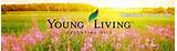 Pictures of Virtual Office Young Living Malaysia