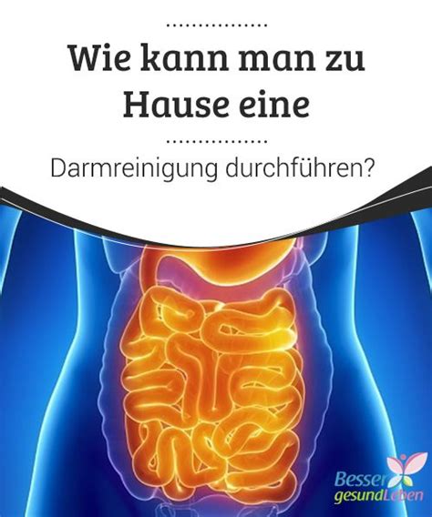 Es besteht aus dem dickdarm und dünndarm. Wie kann man zu Hause eine Darmreinigung durchführen ...