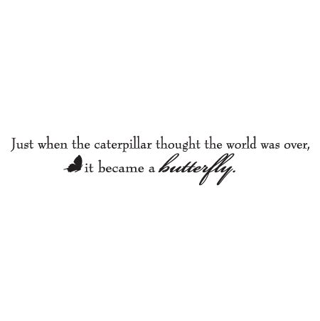 Preemie catapillar had no results. Caterpillar Butterfly Wall Quotes™ Decal | WallQuotes.com