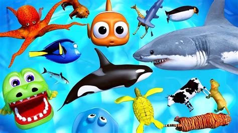 Learn Sea Animal And Zoo Animals Names Education Video