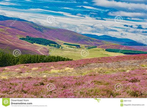 Scenery Of Scotland In England Stock Image Image Of Colorful