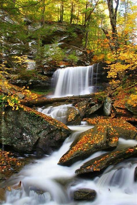 Ricketts Glen State Park Autumn Waterfalls Waterfall State Parks