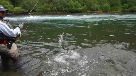 Alaska Kukaklek River Trip 2014 Youtube