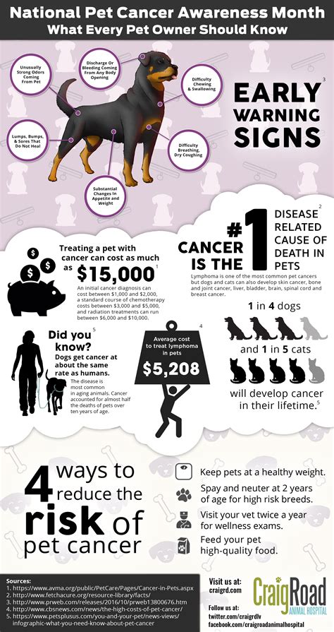Pet Cancer Infographic