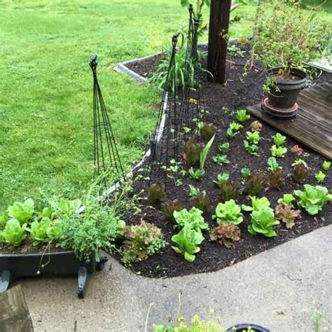 My 2016 Midwest Edible Garden Plan Organic Gardening