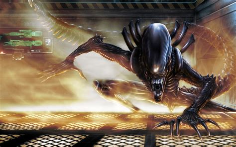 Xenomorph Aliens Alien Movie Movies Wallpapers Hd Desktop And