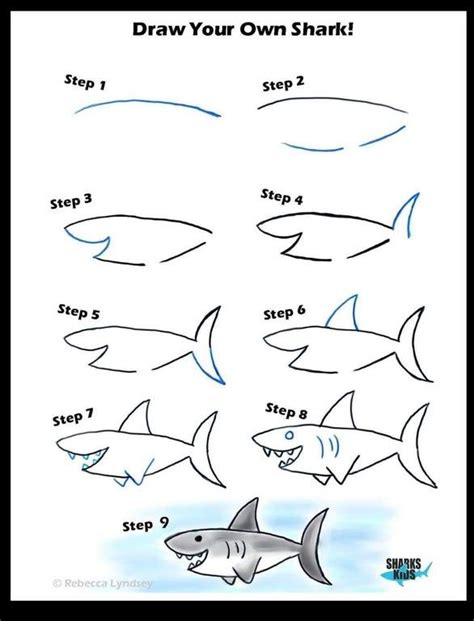 How To Draw A Shark In 9 Steps Coolguides In 2020 Shark Drawing