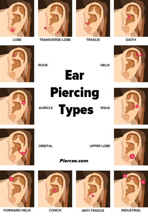 Ear Piercing Chart 17 Types Explained Pain Level Price Photo 2023
