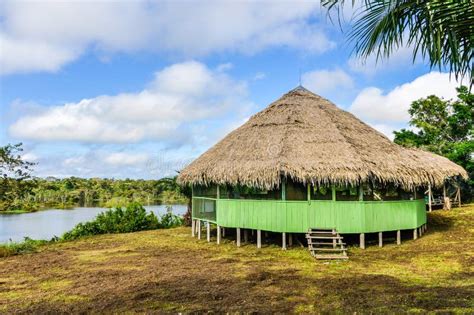 Small Hut In The Amazon Rainforest Manaos Brazil Stock Photo Image