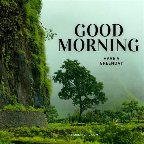 200 Beautiful Good Morning Nature Images Morning With Nature