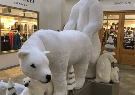 bear back shopping centre apologises for polar bears anal sex display cocktails and cocktalk