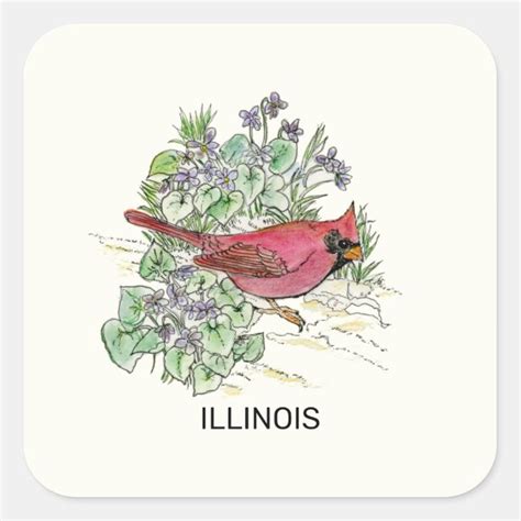 Personalized Illinois State Bird Ts On Zazzle
