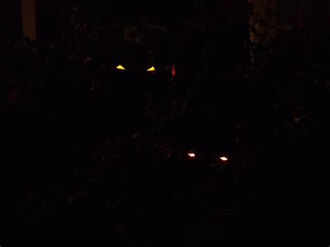 Glowing Creature Eyes For Your Yard 8 Steps Instructables