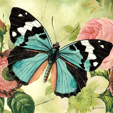 Butterfly Visions B Digital Art Butterfly Visions B Fine Art Print