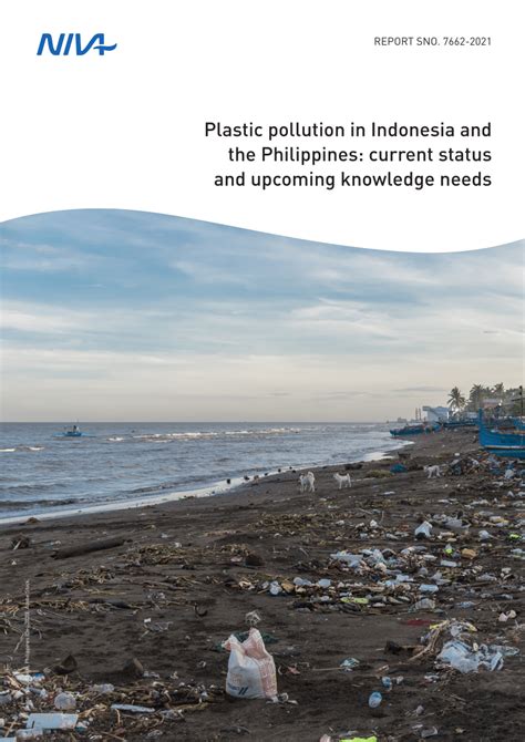 Pdf Plastic Pollution In Indonesia And The Philippines Current